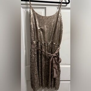 Express Shimmering Sequin Dress